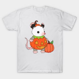 Pumpkin Costume T-Shirt